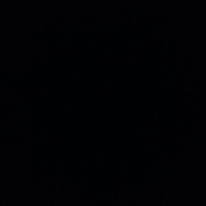 Meet your Posher, Chase